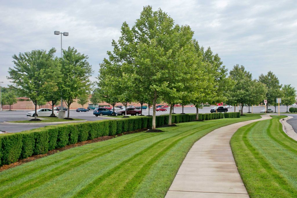 Commercial Landscape Management at Rutherford Crossing Shopping Center in Winchester, VA