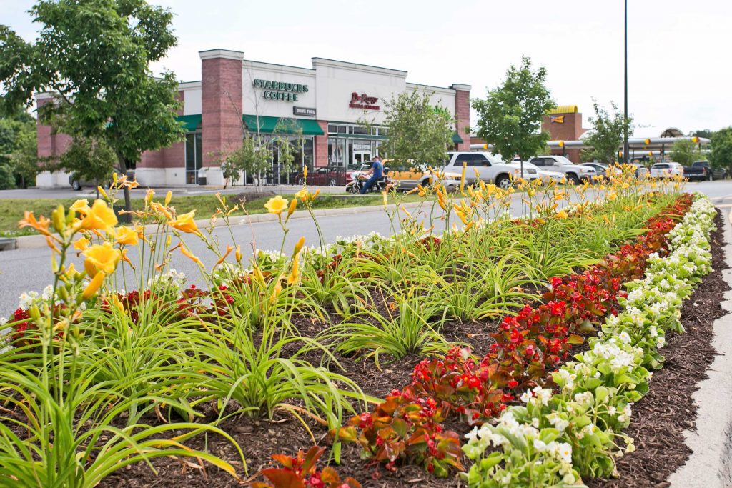 Commercial Landscape Management at Winchester Gateway Shopping Center in Winchester, VA