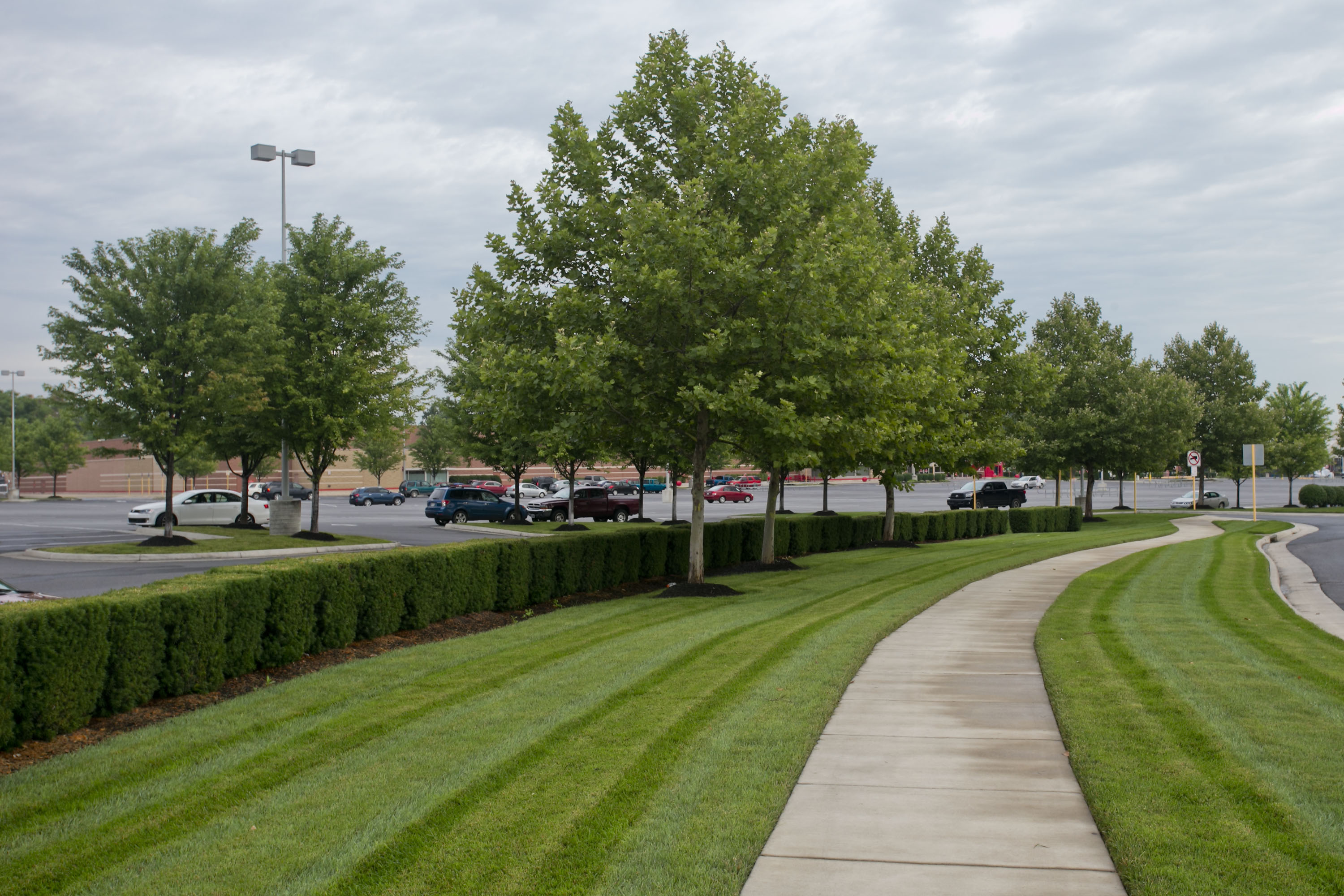 Commercial Grounds Maintenance Greatscapes®