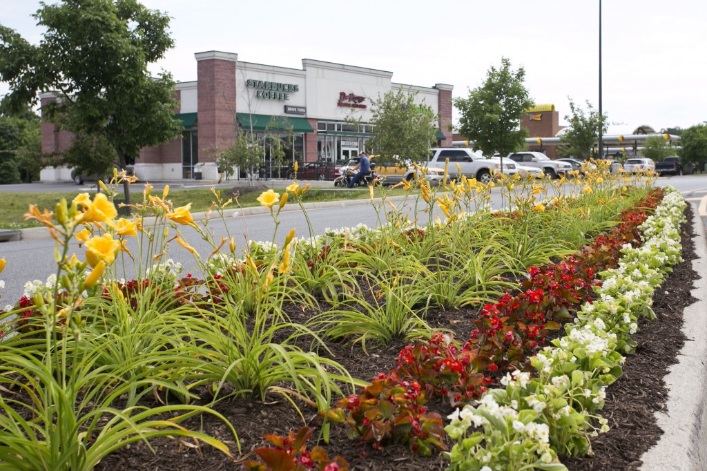 Commercial Landscape Management Winchester Gateway Shopping Center