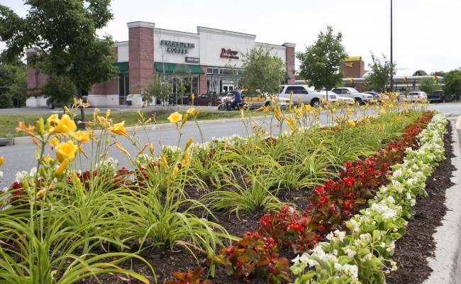 Gateway Shopping Center Commercial Landscape Management in Winchester, VA