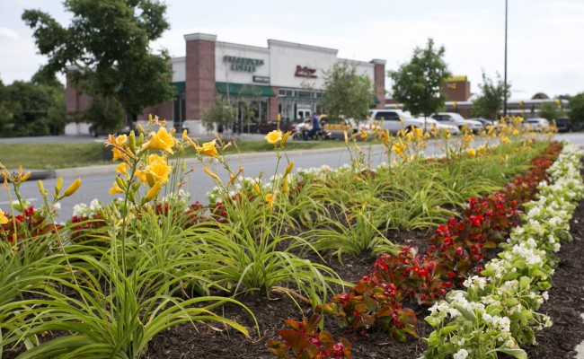 Gateway Shopping Center Seasonal Landscape Maintenance in Winchester, VA
