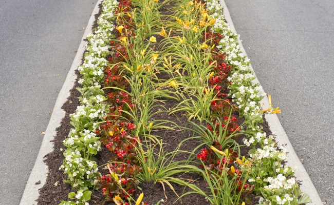 Gateway Shopping Center Landscape Installation in Winchester, VA