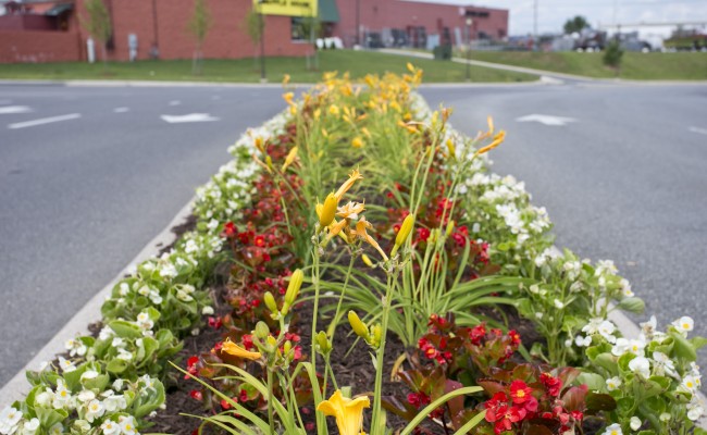 Gateway Shopping Center Mulch Bed Installation in Winchester, VA