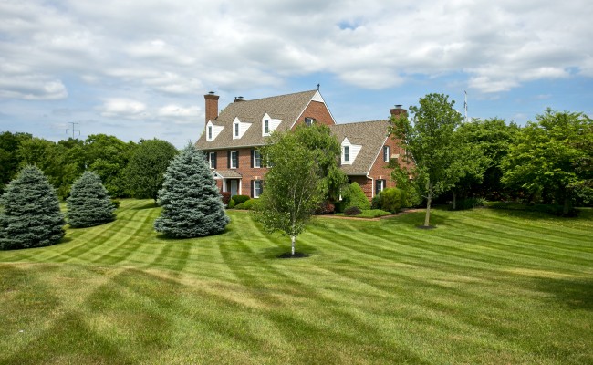 Residential Lawn Treatment in Winchester, VA