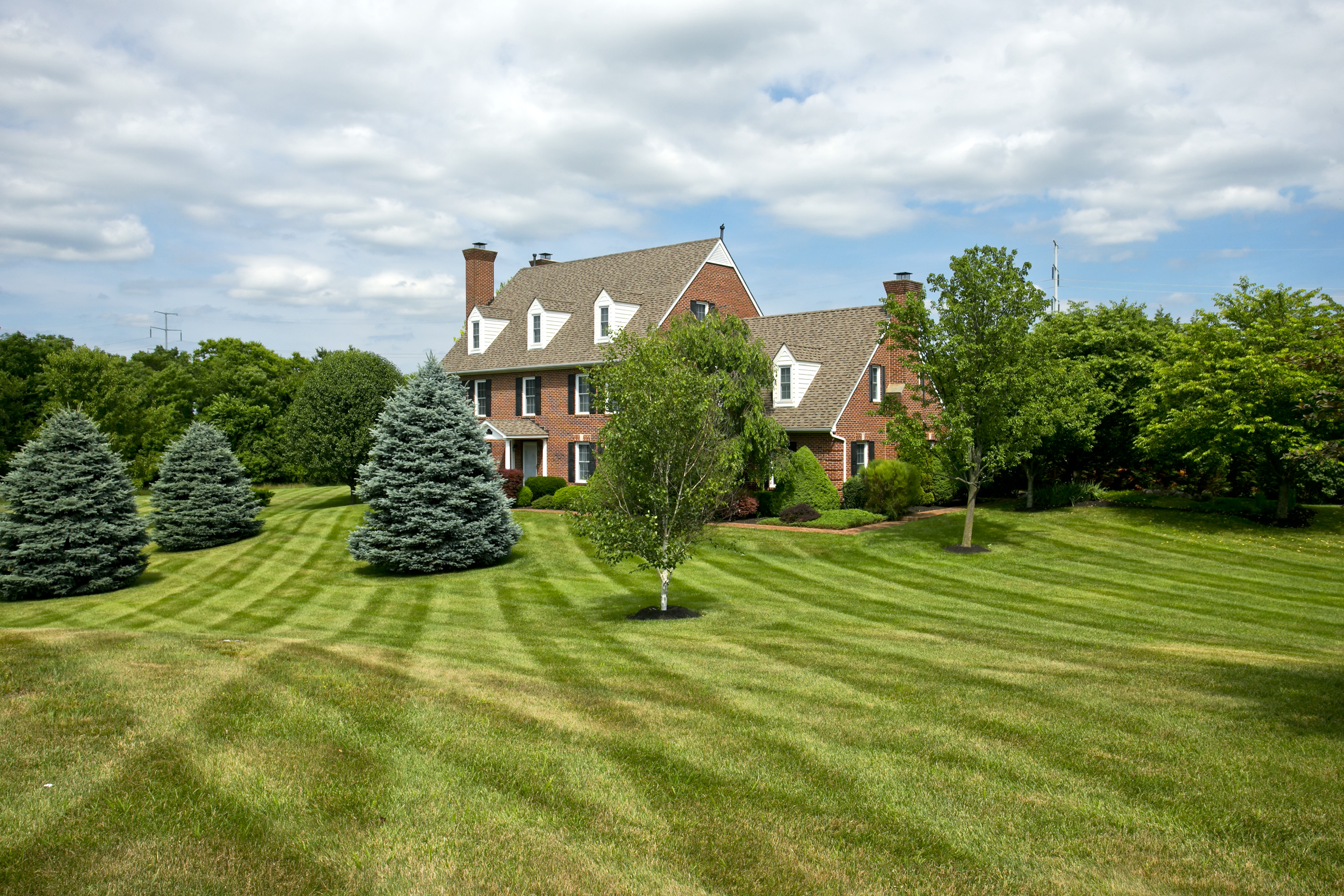 Residential Lawn Treatment in Winchester, VA | Greatscapes®