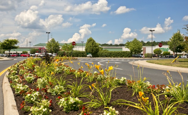 Shopping Center Grounds Maintenance in Winchester, VA