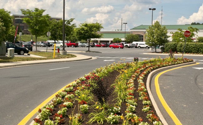 Commercial Landscaping at Shopping Center in Winchester, VA
