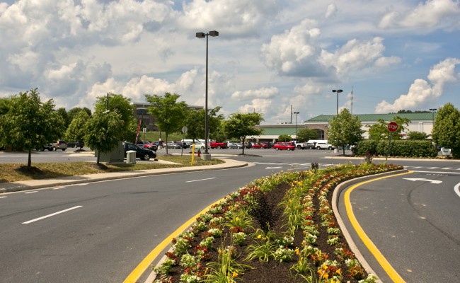 Shopping Center Landscaping in Winchester, VA