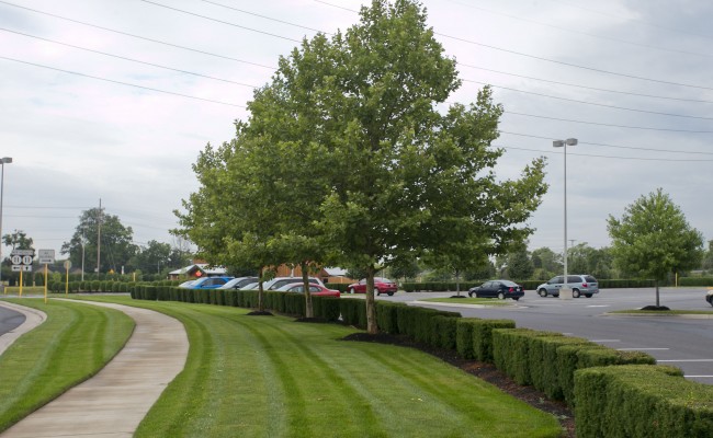 Retail Center Lawn Mowing Service in Winchester, VA