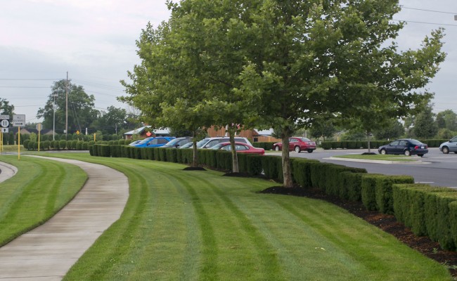 Retail Center Lawn Care in Winchester, VA