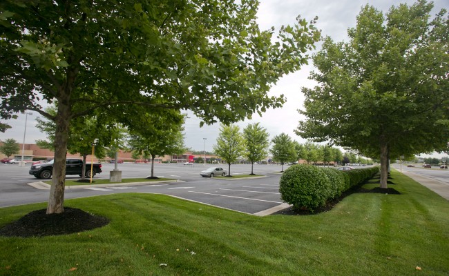 Retail Center Lawn Treatment in Winchester, VA