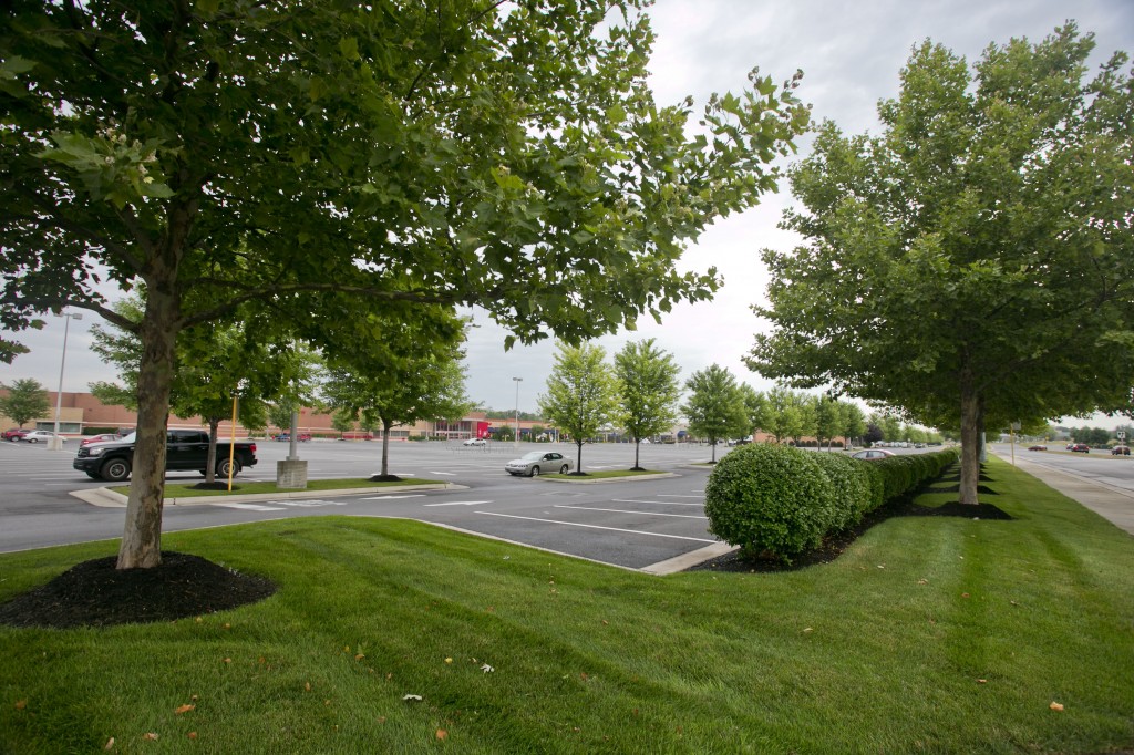 Grounds Maintenance at Rutherford Crossing in Winchester, VA