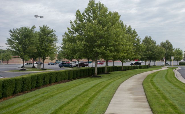 Retail Center Landscape Maintenance in Winchester, VA