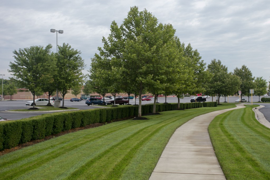 Grounds Maintenance at Rutherford Crossing in Winchester, VA