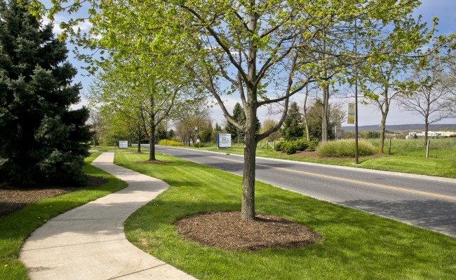 Commercial Lawn Care at Valley Health Systems in Winchester, VA