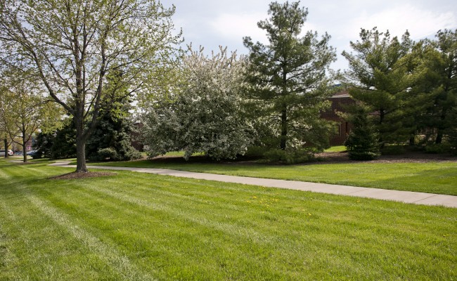 Commercial Landscape Mangement at Valley Health Systems in Winchester, VA