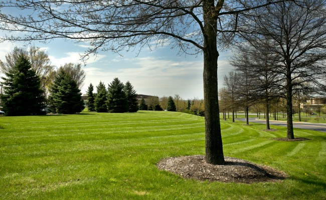 Commercial Grounds Maintenance at Valley Health Systems in Winchester, VA