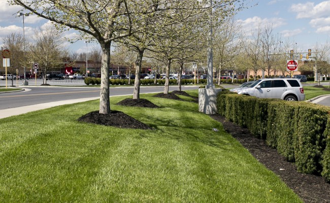 Retail Center Landscape Management in Winchester, VA