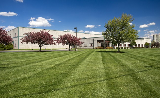 Green Bay Packaging – Commercial Landscape Management in Winchester, VA