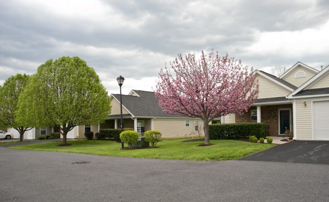 Woodbrook Village Homeowners Association in Winchster, VA Grounds Maintenance