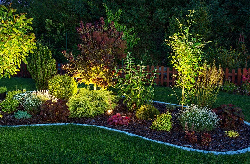 Illuminated Garden by LED Lighting. Backyard Garden at Night Closeup Photo.